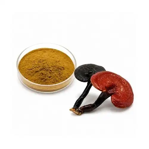 Why Ganoderma Lucidum Extract Quality Matters Most